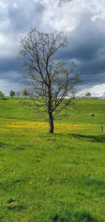 Zum Elleblick Lägenhet Frauenstein  Exteriör bild
