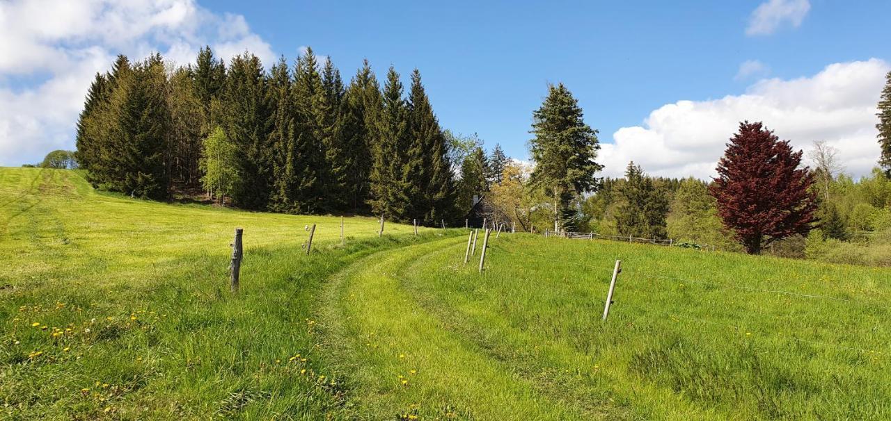 Zum Elleblick Lägenhet Frauenstein  Exteriör bild