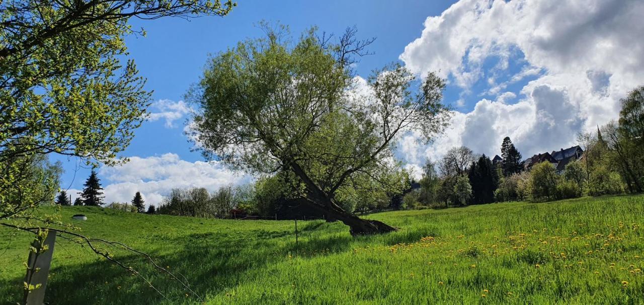 Zum Elleblick Lägenhet Frauenstein  Exteriör bild