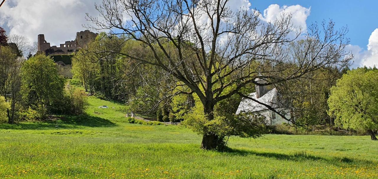 Zum Elleblick Lägenhet Frauenstein  Exteriör bild
