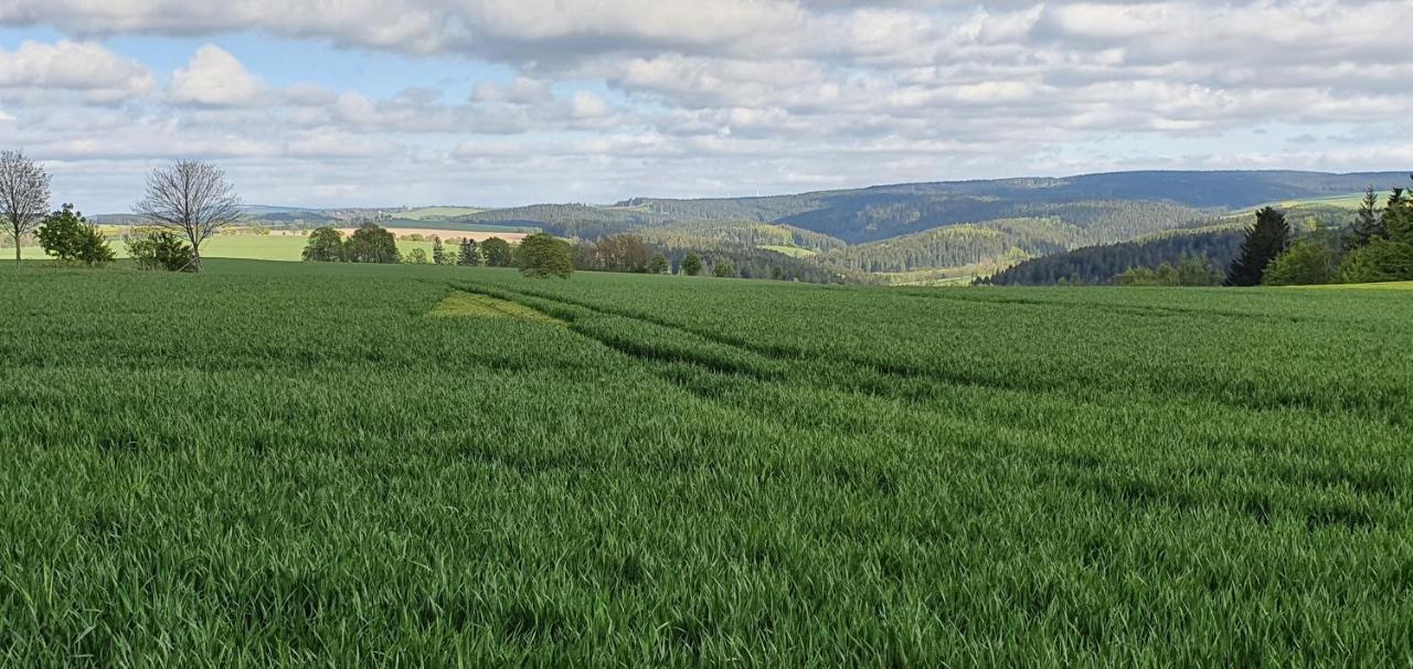 Zum Elleblick Lägenhet Frauenstein  Exteriör bild